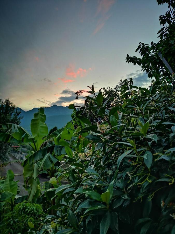 B&B Esmeralda 阿科 外观 照片