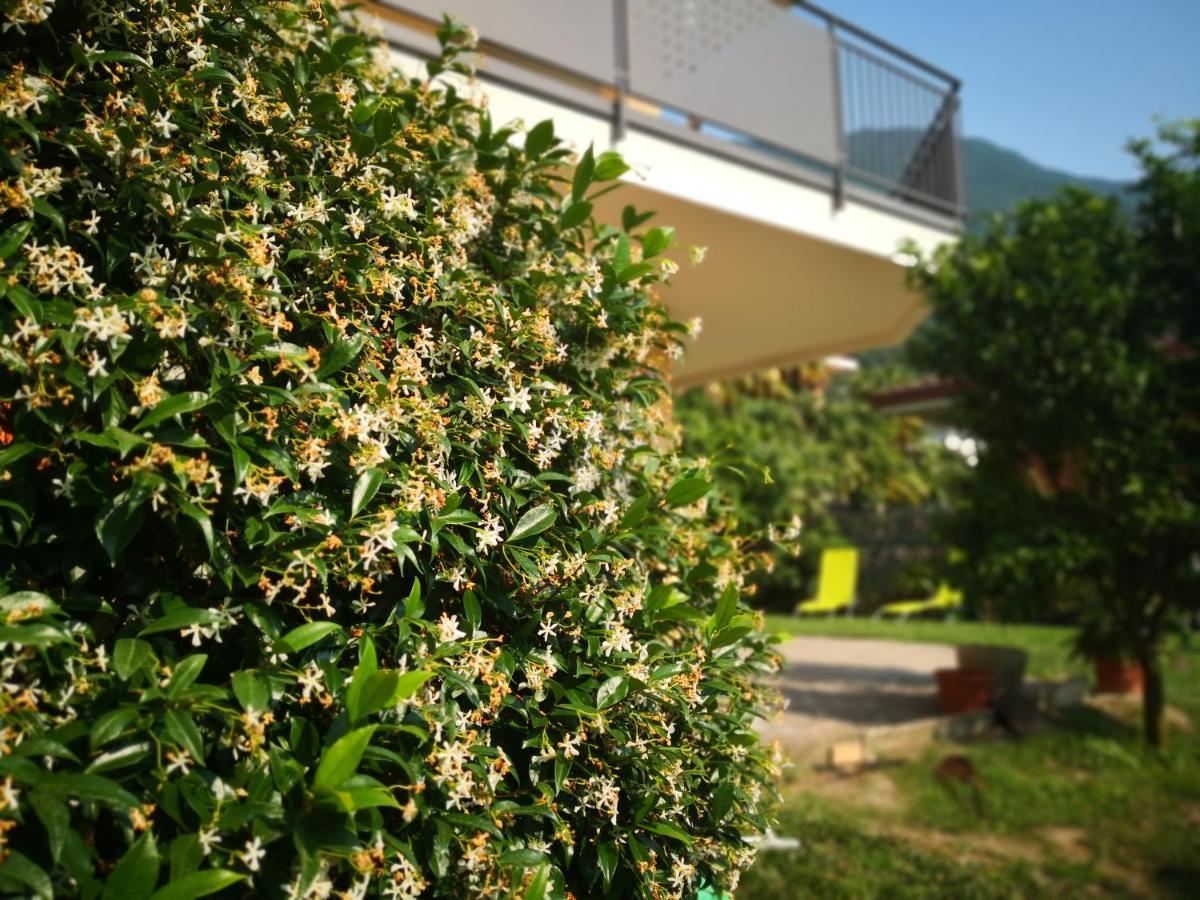B&B Esmeralda 阿科 外观 照片