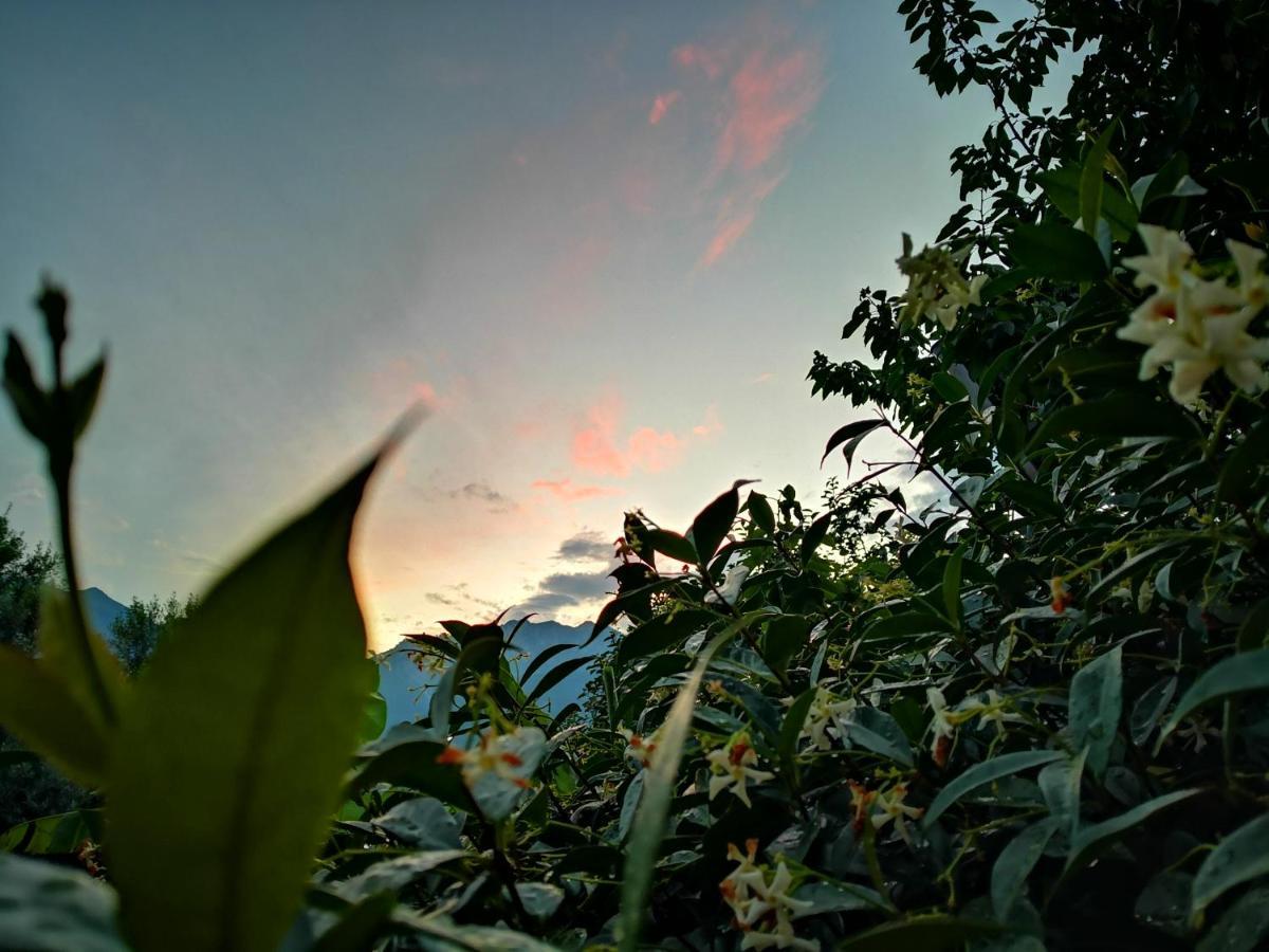 B&B Esmeralda 阿科 外观 照片