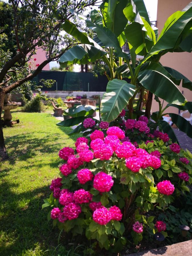 B&B Esmeralda 阿科 外观 照片